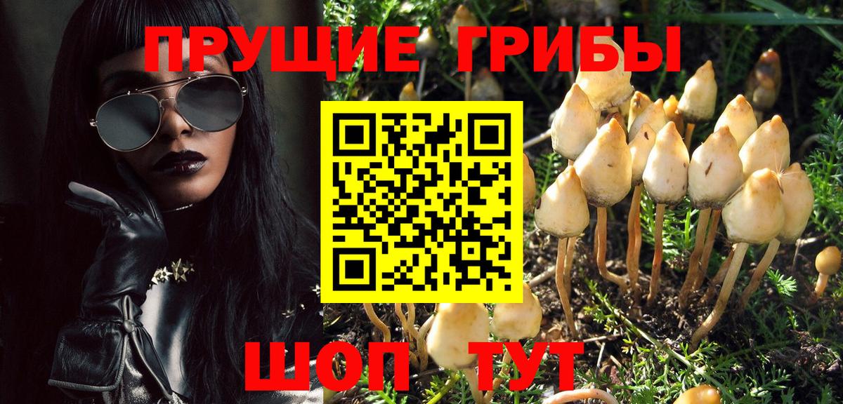 Тверь  Псилоцибиновые грибы Psilocybine cubensis  Галлюциногенные грибы прущие грибы  Вход с VPN 